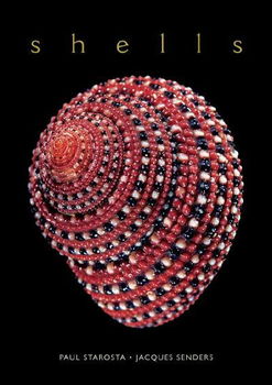 Shellsshells 
