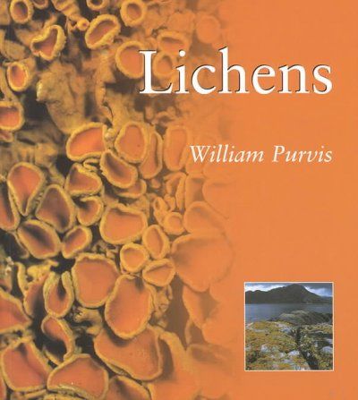Lichenslichens 