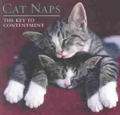 Cat Napscat 