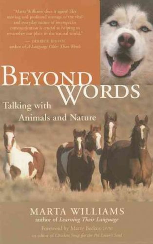 Beyond Wordsbeyond 