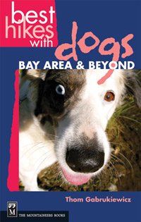 Best Hikes With Dogshikes 