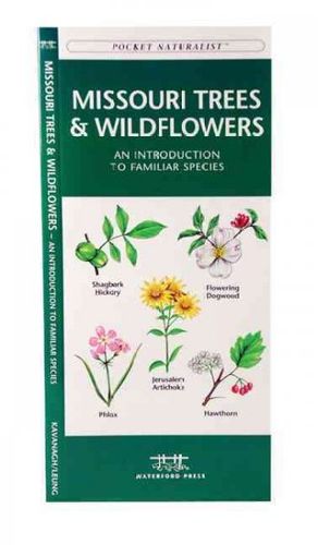 Missouri Trees & Wildflowersmissouri 