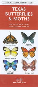 Texas Butterflies & Mothstexas 