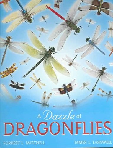 A Dazzle Of Dragonfliesdazzle 
