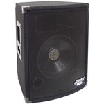PYLE PRO PADH1079 500-Watt, 10"" 2-Way Professional Speaker Cabinet