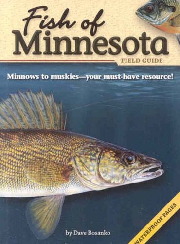 Fish of Minnesotafish 