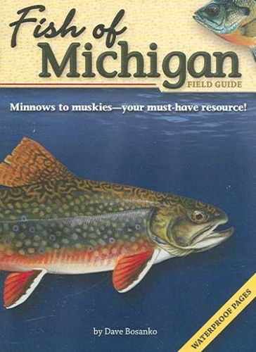 Fish of Michigan Field Guidefish 