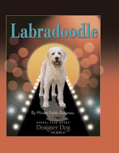 Labradoodlelabradoodle 