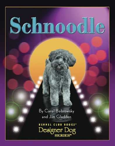 Schnoodleschnoodle 