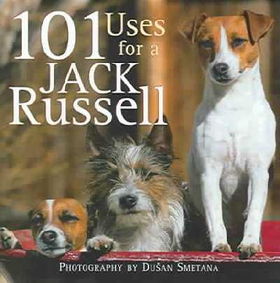 101 Uses for a Jack Russelluses 