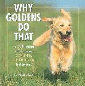 Why Goldens Do Thatgoldens 