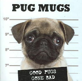 Pug Mugspug 