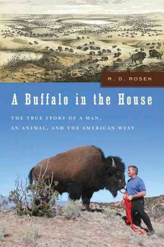 A Buffalo in the Housebuffalo 