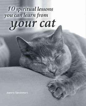 10 Spiritual Lessons You Can Learn From Your Catspiritual 