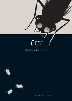 Flyfly 