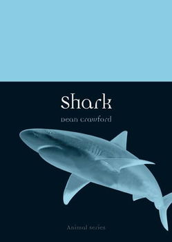 Sharkshark 