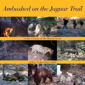 Ambushed on the Jaguar Trailambushed 