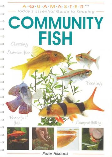 Community Fishcommunity 