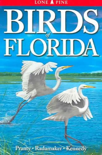 Birds of Floridabirds 