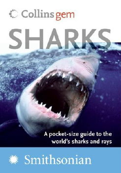 Sharkssharks 