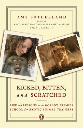 Kicked, Bitten, and Scratchedkicked 