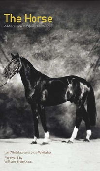 The Horsehorse 