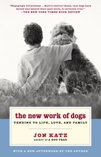 The New Work of Dogswork 