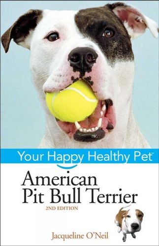 American Pit Bull Terrieramerican 