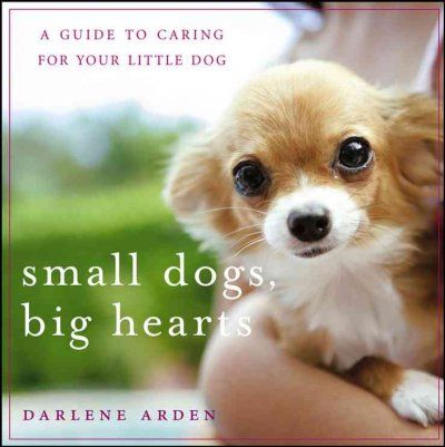 Small Dogs, Big Heartssmall 