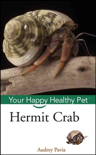 Hermit Crabhermit 