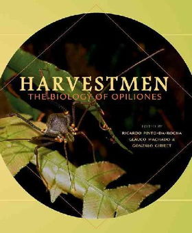 Harvestmenharvestmen 