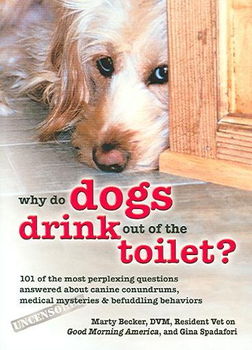 Why Do Dogs Drink Out of the Toilet?dogs 