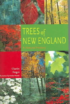 Trees Of New Englandtrees 