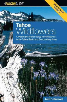 Tahoe Wildflowerstahoe 