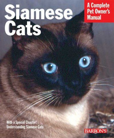 Siamese Catssiamese 
