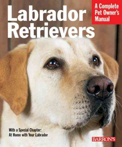 Labrador Retrieverslabrador 