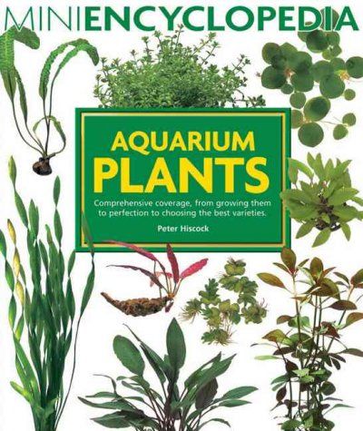 Aquarium Plantsaquarium 