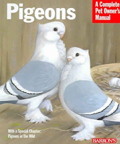 Barron's Pigeonsbarron 