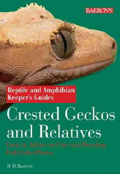 Crested Geckos and Relativescrested 