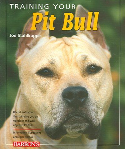 Training Your Pit Bulltraining 
