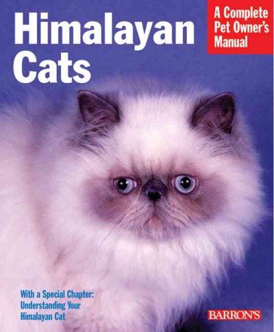 Himalayan Catshimalayan 