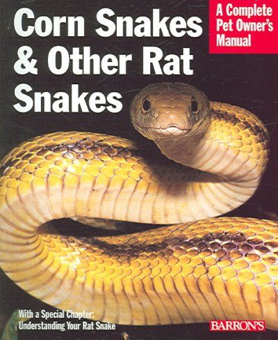 Corn Snakes And Other Rat Snakescorn 