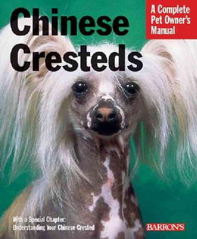 Chinese Crestedschinese 