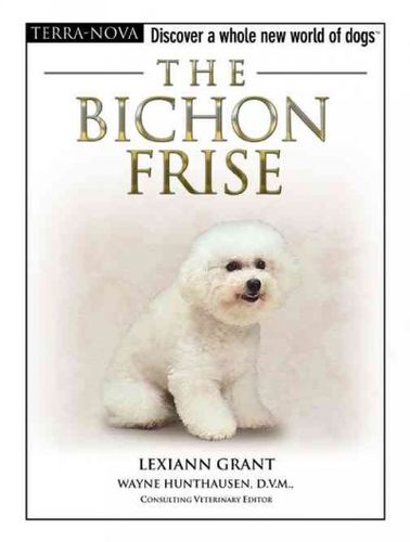 The Bichon Frisebichon 