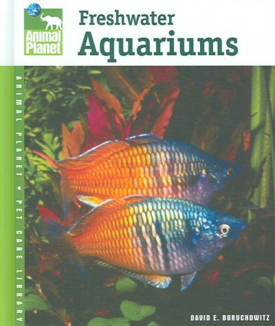 Setup and Care of Freshwater Aquariumssetup 
