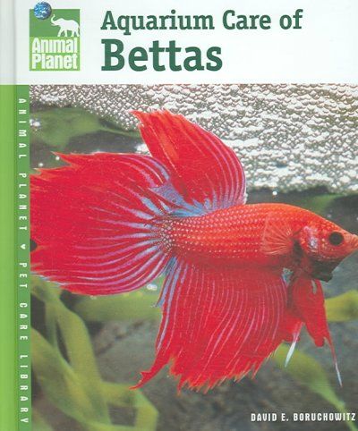 Aquarium Care of Bettasaquarium 