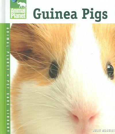 Guinea Pigsguinea 