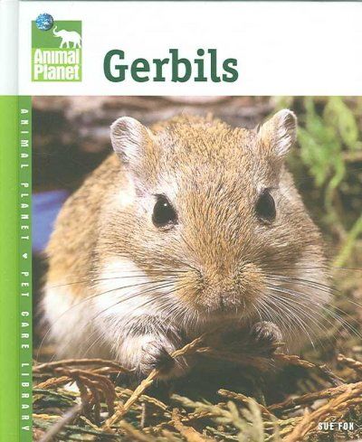 Gerbilsgerbils 