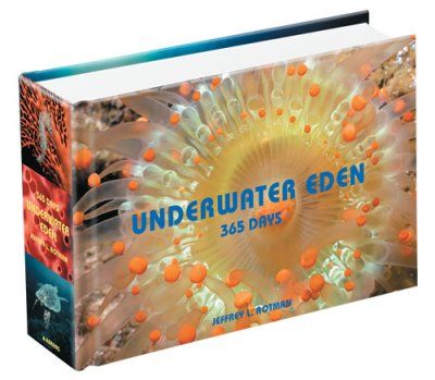 Underwater Edenunderwater 