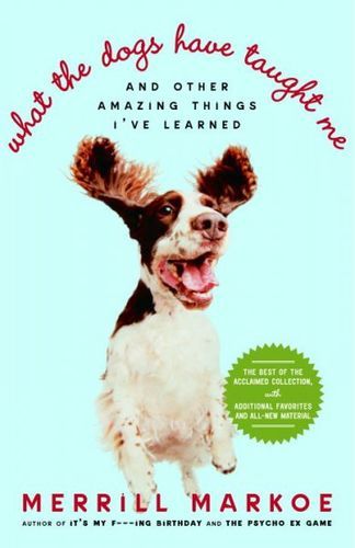 What The Dogs Have Taught Medogs 